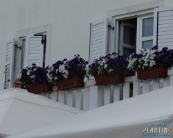lantino za galeriju 00051