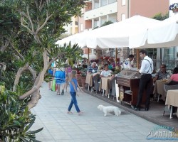 lantino za galeriju 00084